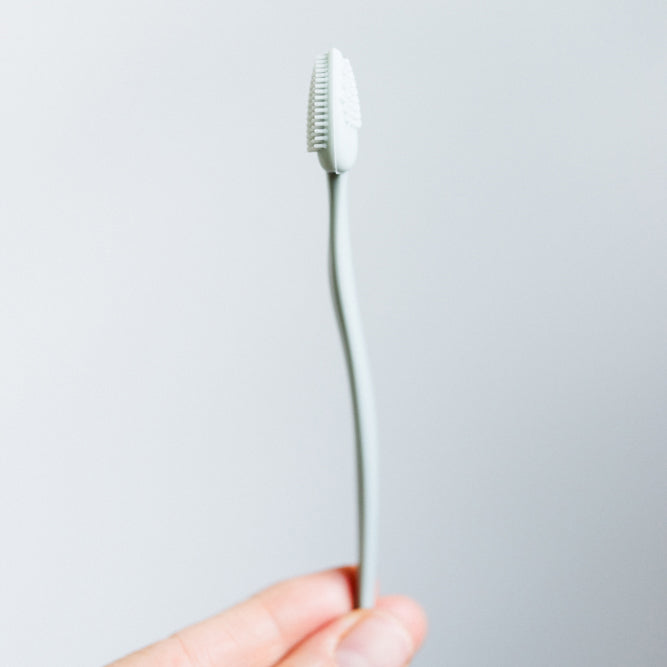 Face and Lip Brush Bundle